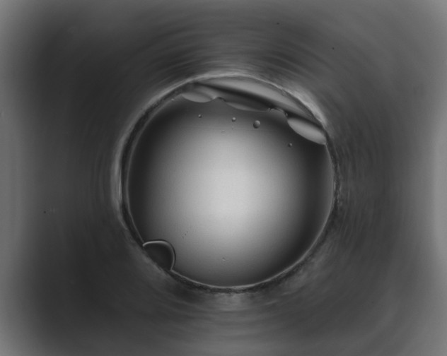 X0000089661080200706281317