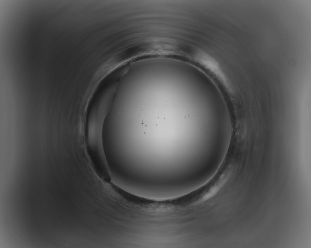 X0000089661081200706281317