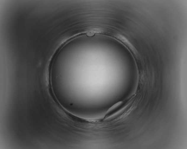 X0000089661083200706281317