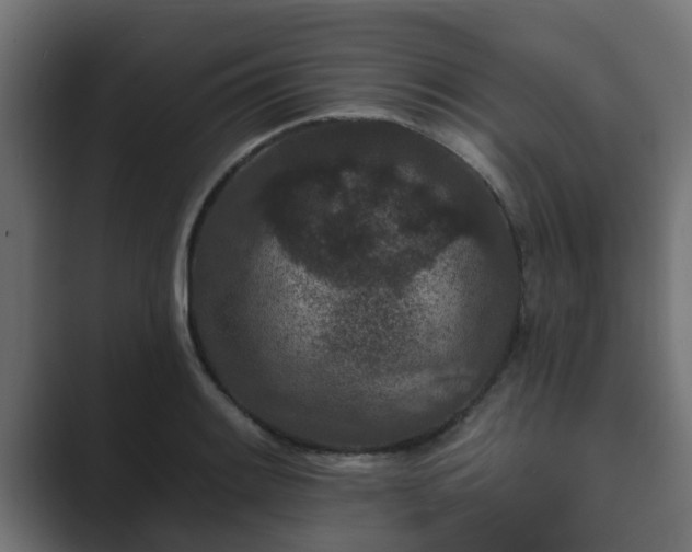 X0000089661084200706281317