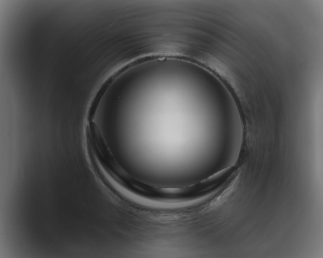 X0000089661085200706281317
