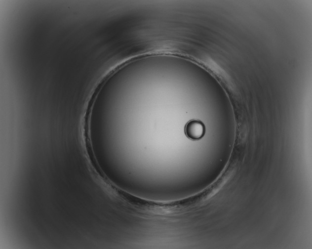 X0000089661086200706281317