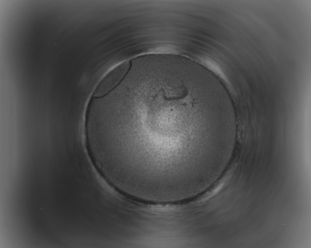 X0000089661087200706281317
