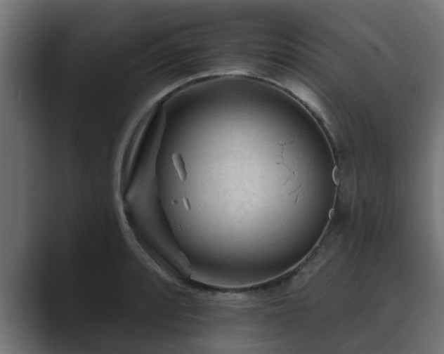 X0000089661088200706281317