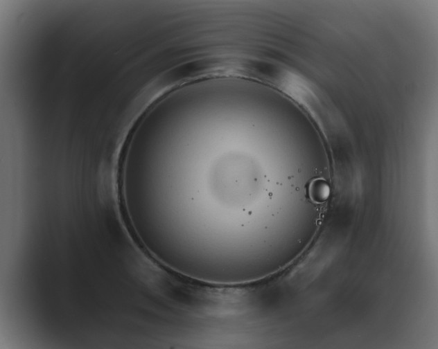 X0000089661090200706281317