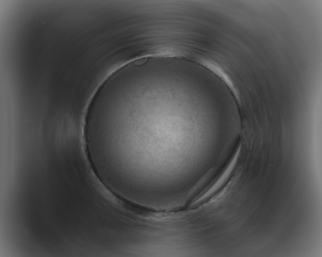 X0000089661091200706281317