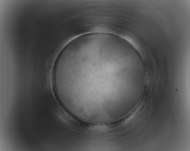 X0000089661094200706281317