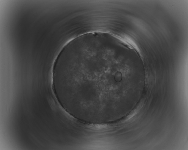 X0000089661095200706281317