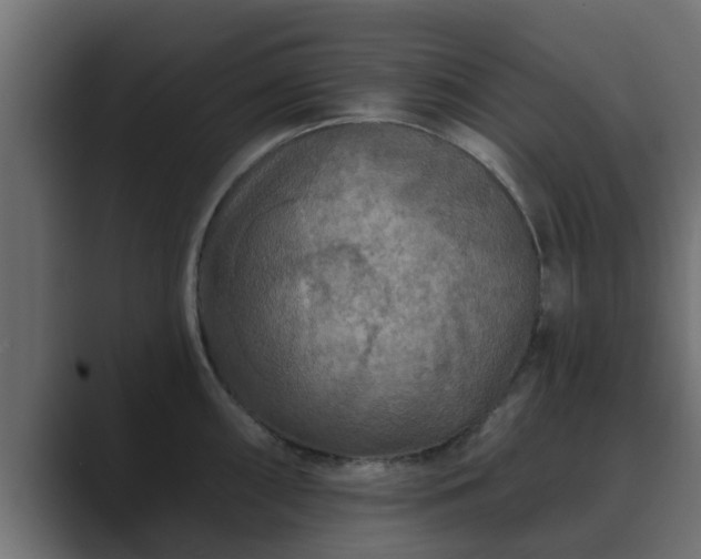 X0000089661098200706281317