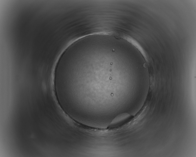 X0000089661099200706281317