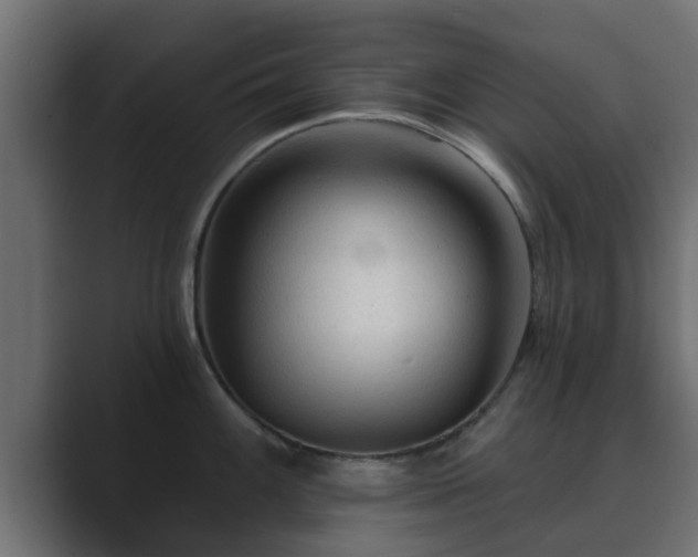 X0000089661100200706281317