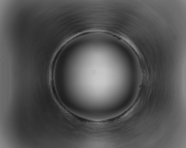 X0000089661101200706281317