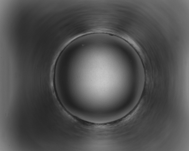 X0000089661102200706281317