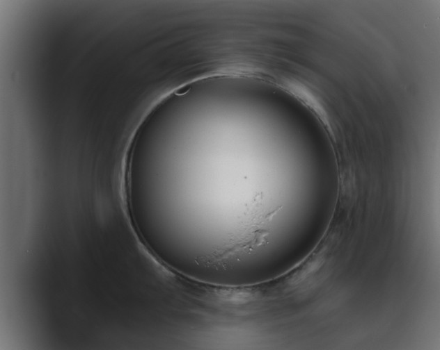 X0000089661103200706281317