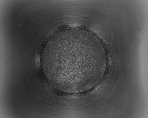 X0000089661106200706281316