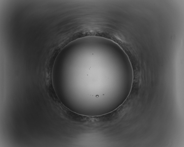X0000089661109200706281316