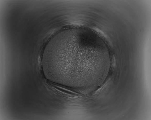 X0000089661110200706281316