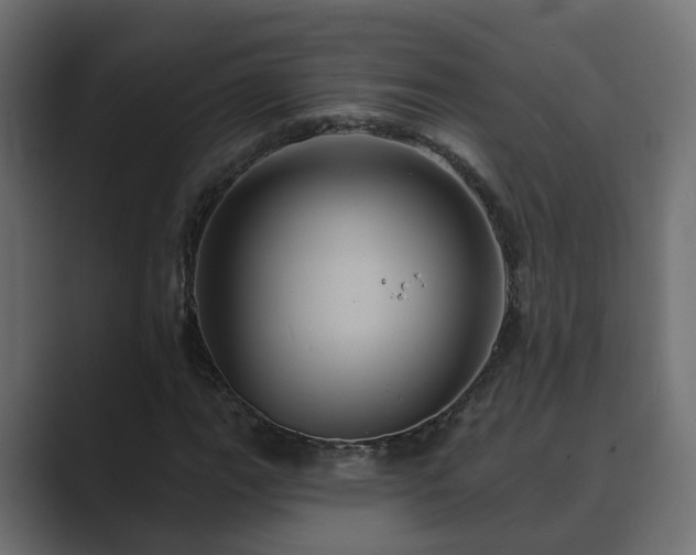 X0000089661111200706281316