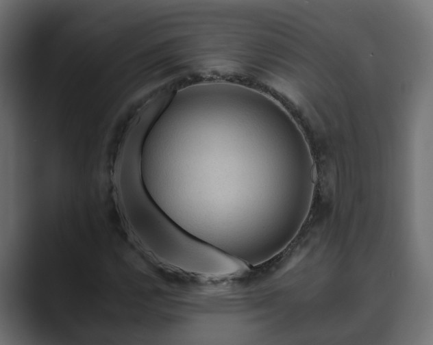 X0000089661112200706281316