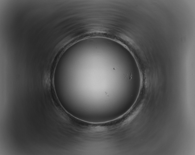 X0000089661113200706281316