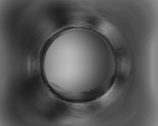 X0000089661114200706281316