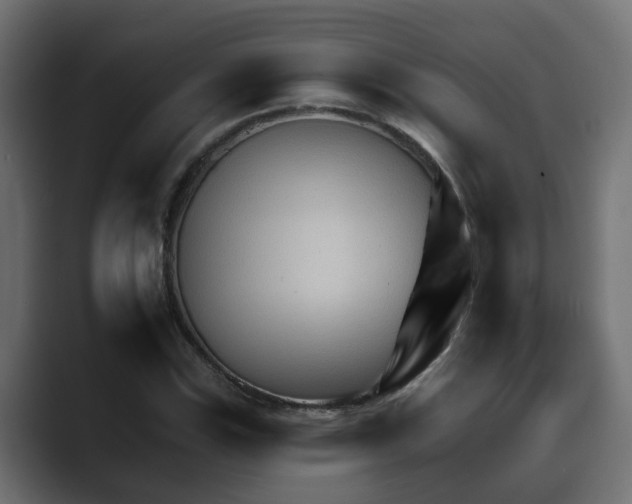 X0000089661115200706281316