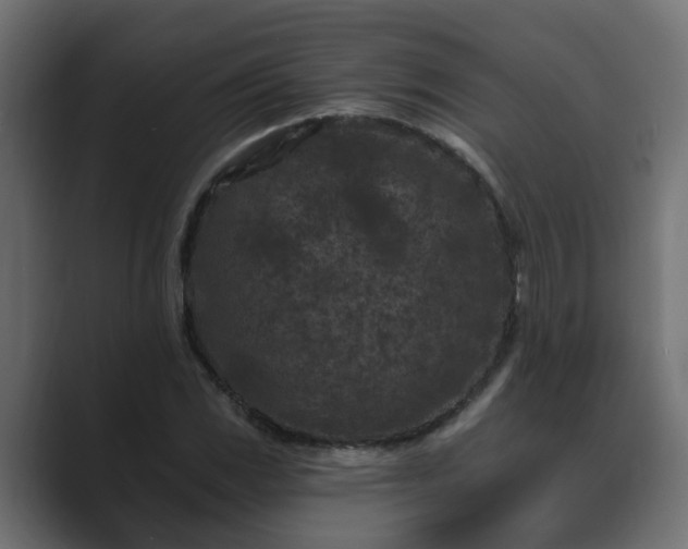 X0000089661117200706281316