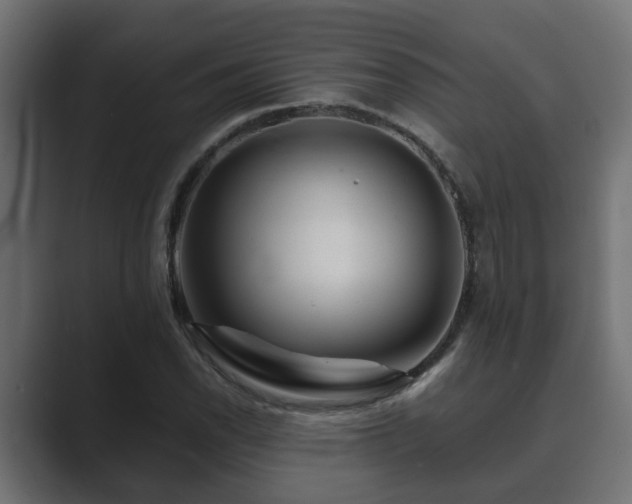 X0000089661118200706281316