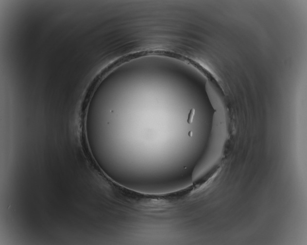 X0000089661119200706281316