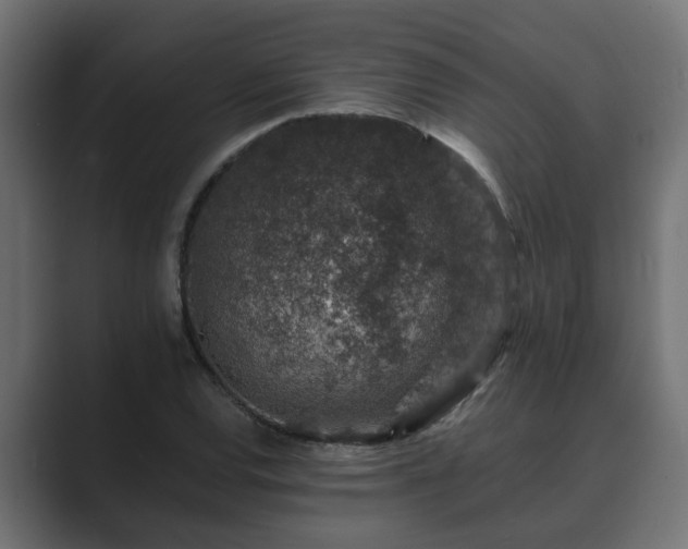 X0000089661120200706281316