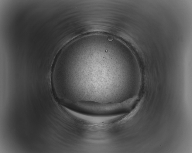X0000089661121200706281316