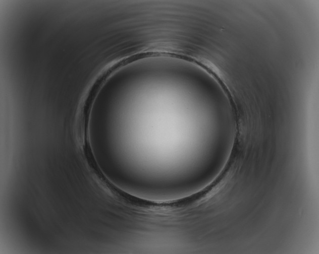 X0000089661123200706281316