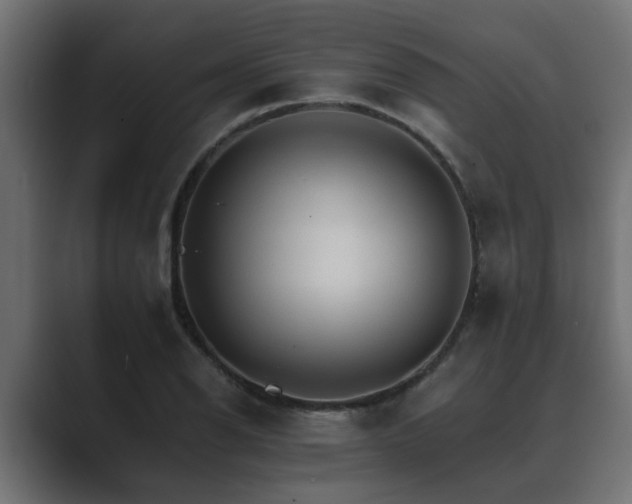 X0000089661126200706281316