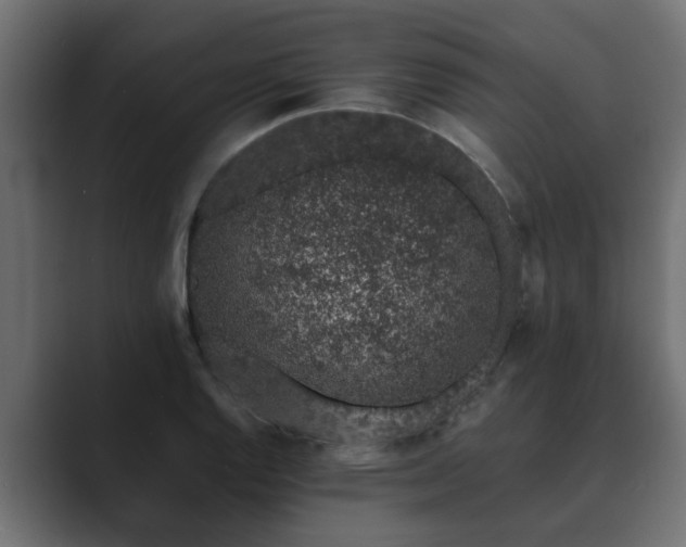 X0000089661128200706281316