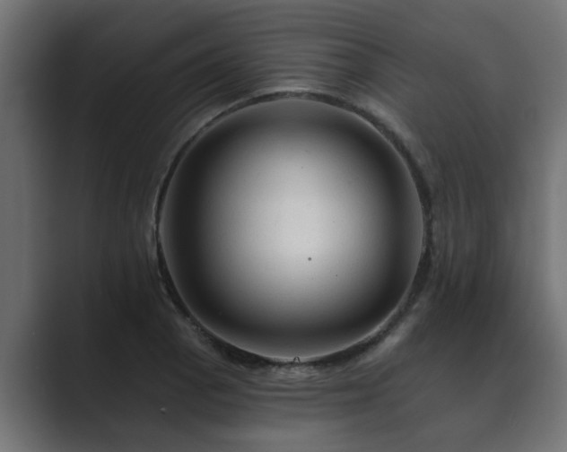 X0000089661129200706281316