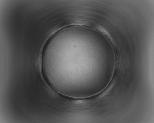 X0000089661130200706281316