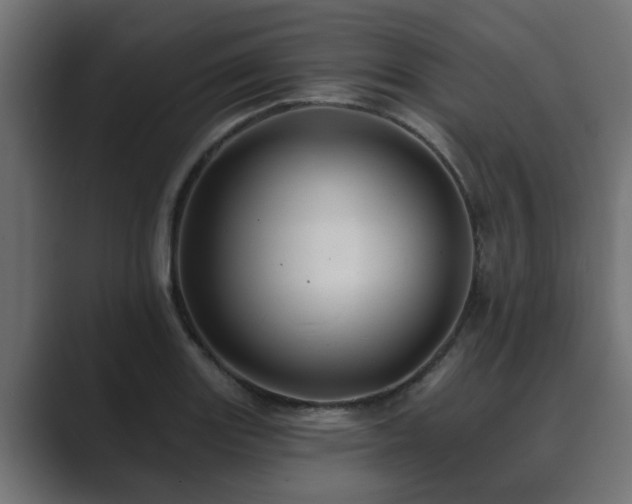 X0000089661131200706281316