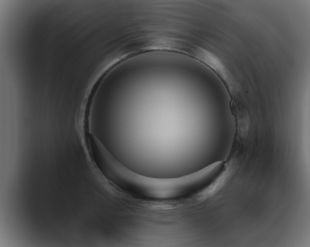 X0000089661138200706281316