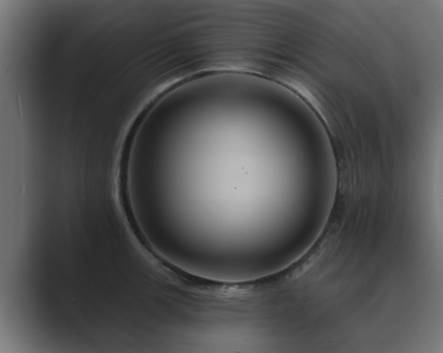 X0000089661139200706281316