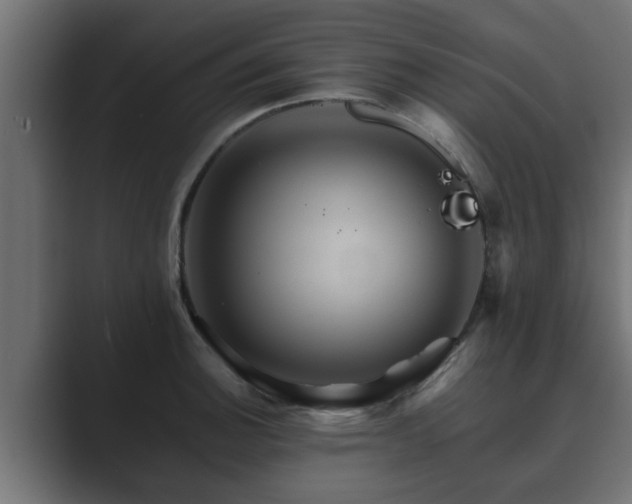 X0000089661140200706281316