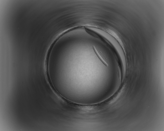 X0000089661141200706281316