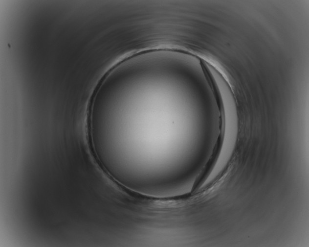 X0000089661142200706281316