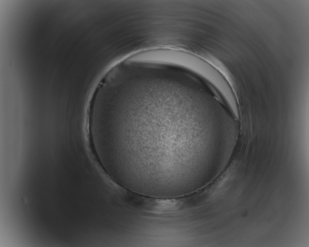 X0000089661144200706281316