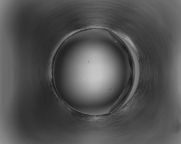 X0000089661148200706281317
