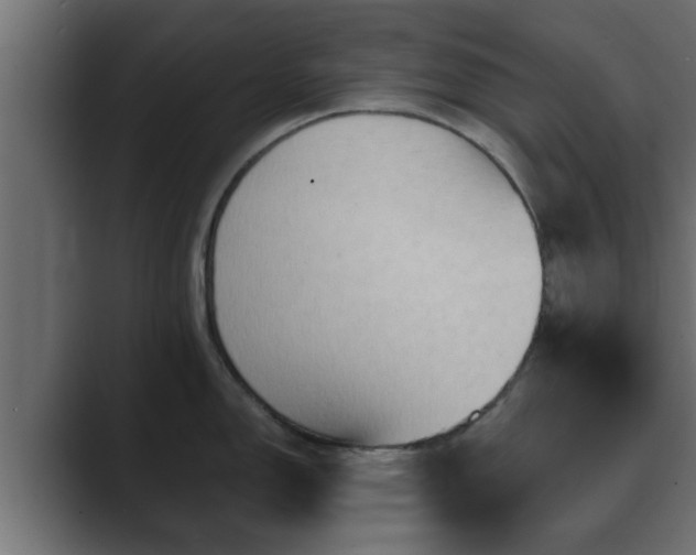 X0000089661150200706281317