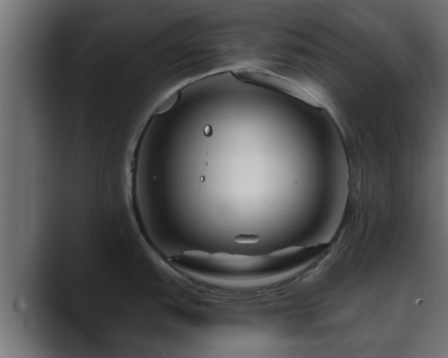 X0000089661151200706281317