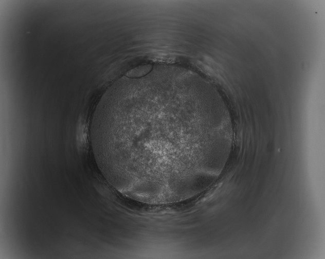 X0000089661154200706281316
