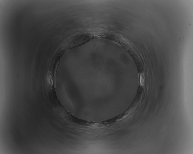 X0000089661155200706281316