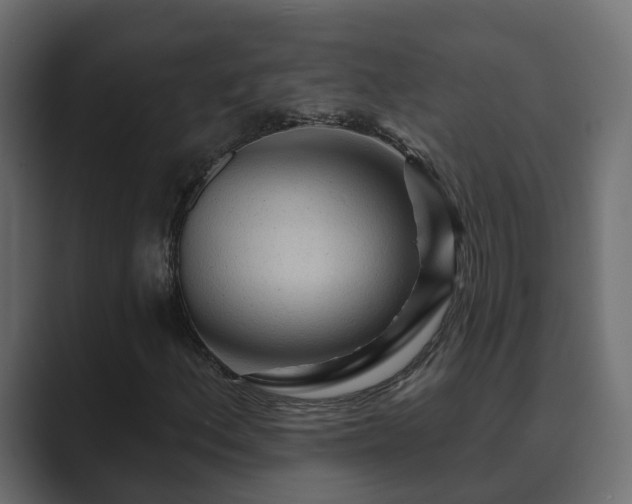 X0000089661156200706281316