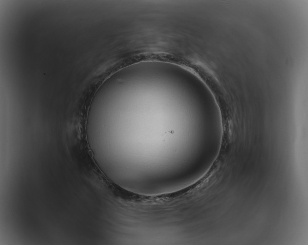 X0000089661159200706281316